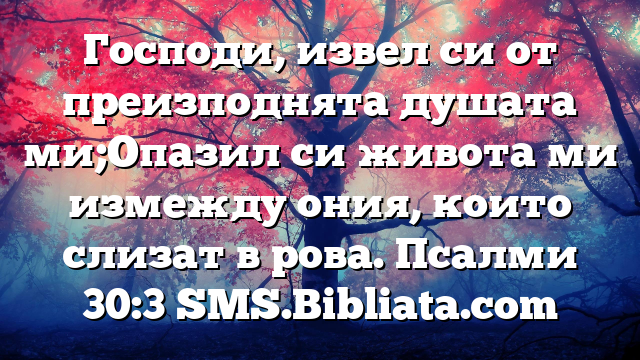 Библейски стих за всеки ден 12 юни