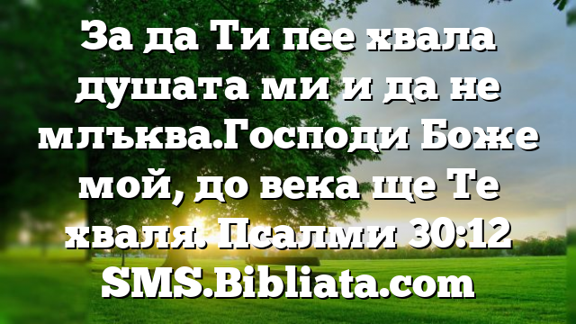 Библейски стих за всеки ден 15 юни
