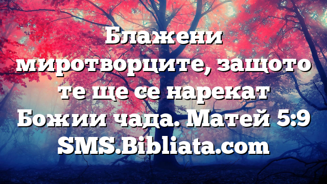 Библейски стих за всеки ден 17 септември