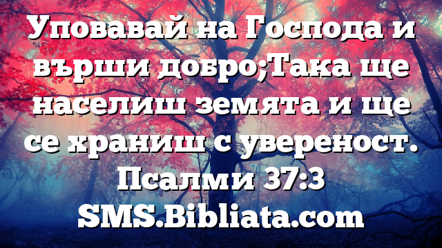 Библейски стих за всеки ден 19 юни