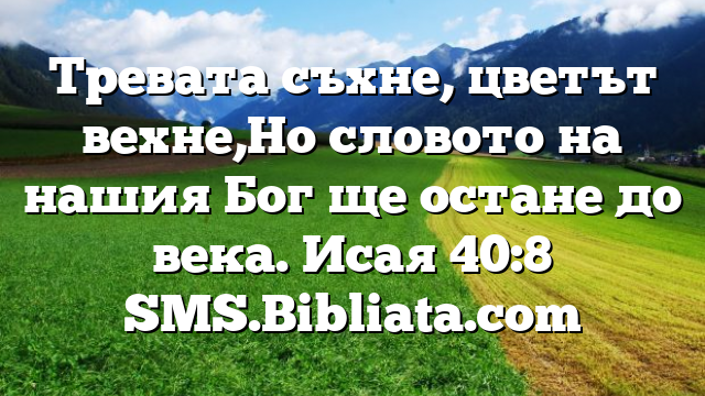 Библейски стих за всеки ден 28 август