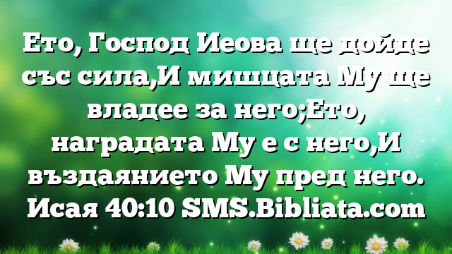 Библейски стих за всеки ден 29 август