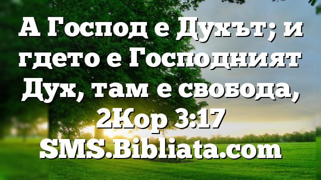 Библейски стих за всеки ден 17 октомври