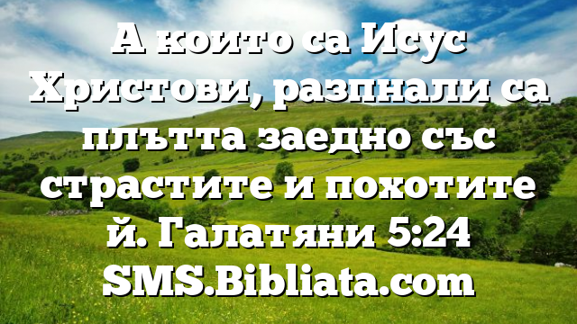 Библейски стих за всеки ден 29 октомври