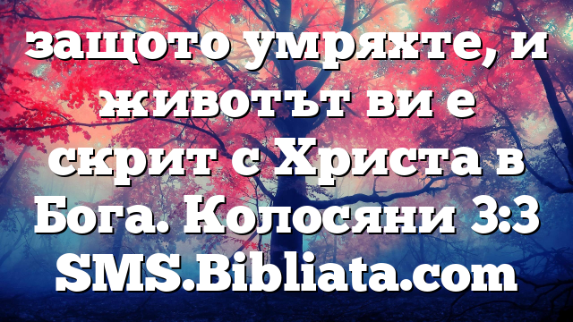 Библейски стих за всеки ден 23 декември