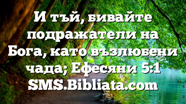 Библейски стих за всеки ден 29 ноември