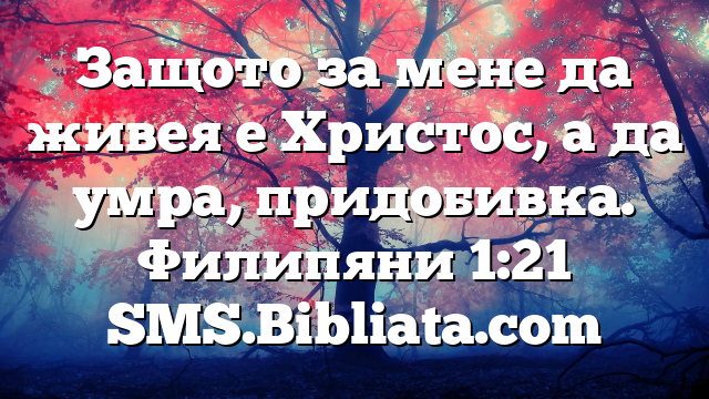 Библейски стих за всеки ден 8 декември